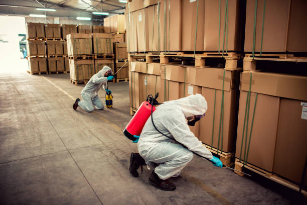 Best Pest Inspection Near Me  in Newark, NY
