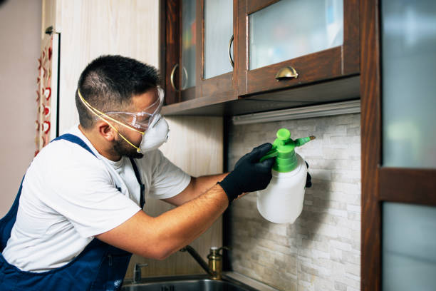 Best Rat Extermination Near Me  in Newark, NY