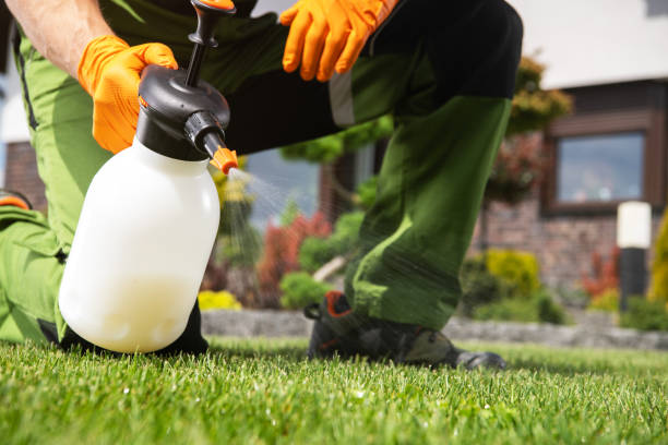Best Pest Removal Services  in Newark, NY