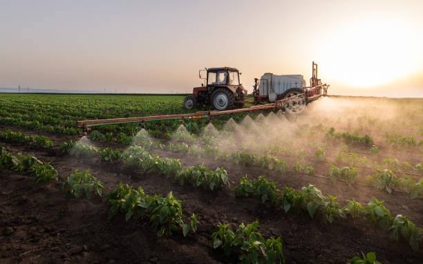 Best Commercial Pest Control Services  in Newark, NY