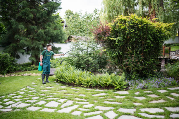Reliable Newark, NY Pest Control Solutions