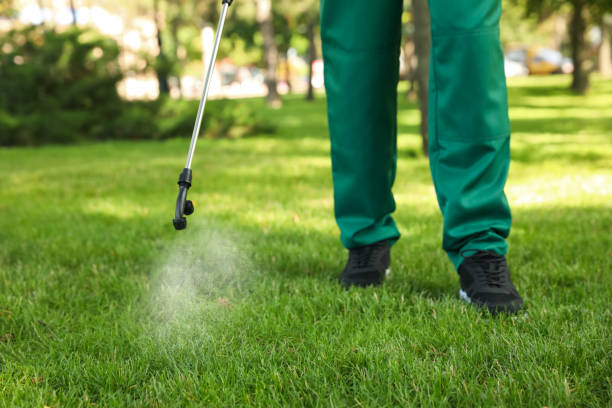 Trusted Newark, NY Pest Control Experts