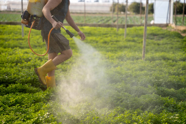 Best Affordable Pest Control Services  in Newark, NY