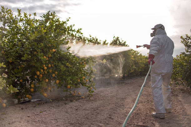 Best Bed Bug Extermination  in Newark, NY