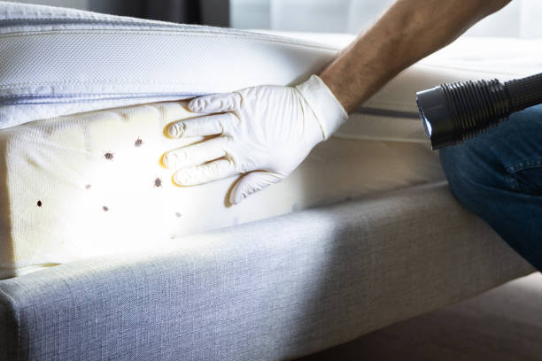Best Residential Pest Control  in Newark, NY
