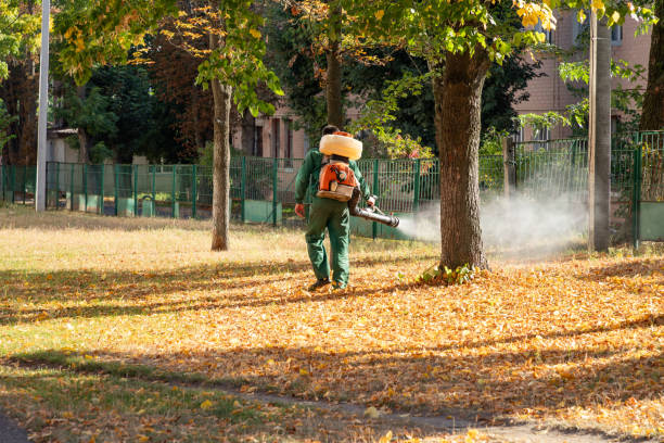 Insect Control in Newark, NY