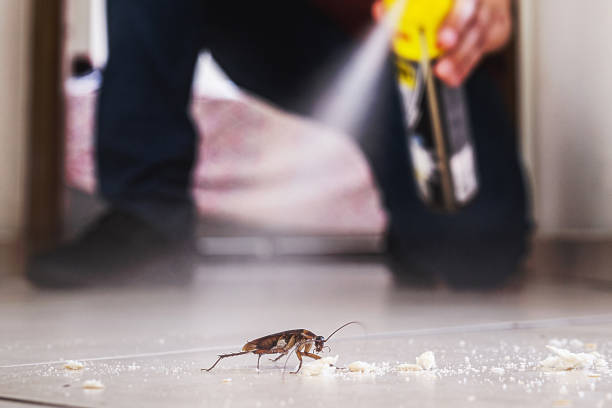 Best Affordable Exterminators  in Newark, NY